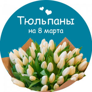 Купить тюльпаны в Верхнеуральске